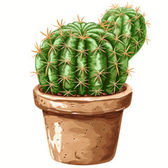 Pincushion cactus in pot isolated 