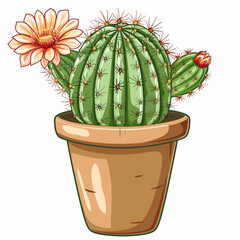 Pincushion cactus in pot