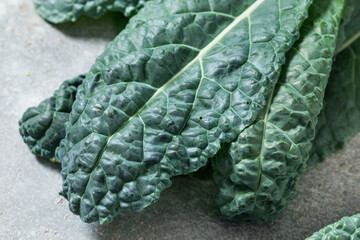 Fototapeta premium Healthy Italian Lacinato Dinosaur Kale