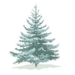 Pine tree on white 
