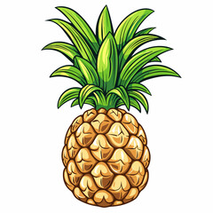 pineapple on a white background