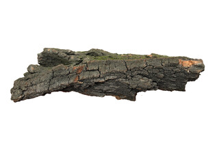 Rough piece of tree bark with moss, held by hand, isolated on a transparent background