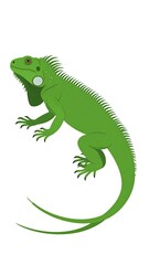 Obraz premium A vibrant, green-hued reptile illustration. Featuring detailed spines and a long, curved tail