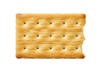 Close-up of a single saltine cracker on a transparent background, isolated snack food