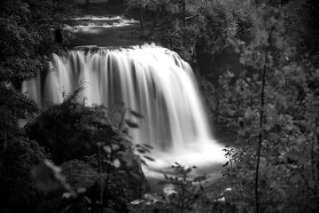 Black and White Nature