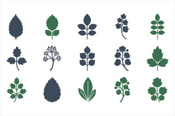 Fototapeta premium Floral vector illustration of leaves flowers and nature elements with butterfly decoration
