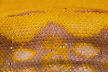Macro Close Up of Yellow and Brown Python Skin Pattern