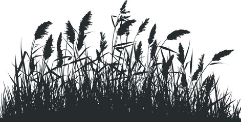 Prairie Grass Black Silhouette Meadow Illustration