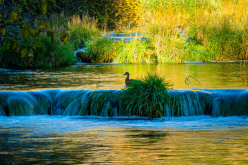 waterfall in the park