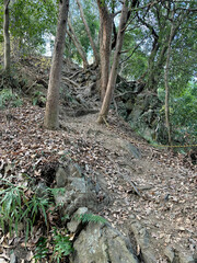 Obraz premium 日本：金鑽御嶽（かなさなみたけ）城跡／ロープが下がる岩場のコース／埼玉県神川町