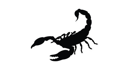 A striking black scorpion illustration with detailed features and a powerful posture a dramatic silhouette