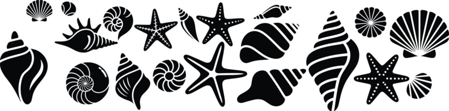Black Sea Shell Mandala Vector Illustration &ndash; Starfish, Seashells, Nautical Circle Design