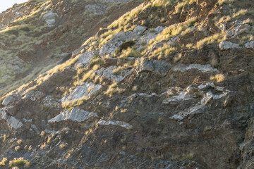 （Tvs）Early Miocene Vaqueros Formation, sandstone, with diabase and mafic hypabyssal intrusive rocks of gabbroic and dioritic composition.  near Point Mugu Rock, Santa Monica Mountains
