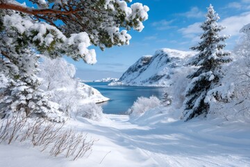 Winter landscape with snow covered trees and fjord
