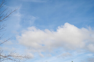 Clear blue sky with fluffy white clouds and bare tree branches in view.