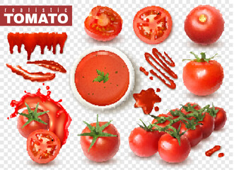 realistic tomato transparent set vector