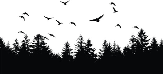 Black Forest Silhouette with a Flock of Wild Birds Flying Over a Dense Coniferous Pine Tree Landscape at Sunset or Dawn Vector Illustration © Arman World