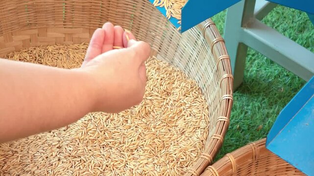 A small-scale rice sorting machine used by farmers.