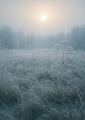 Fototapeta premium Serene frosty morning landscape.