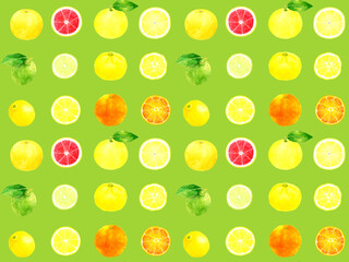 フレッシュな柑橘類のシームレスパターン　手描き水彩イラストの果物柄