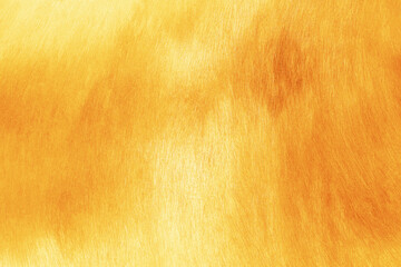 Brown wooden board surface texture, a natural oak hardwood floor pattern design for backgrounds