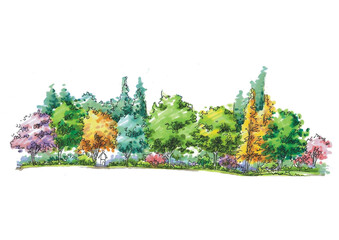 Minimal style cad tree line side view, set of graphics trees elements outline symbol for architecture and landscape design drawing. Vector illustration.