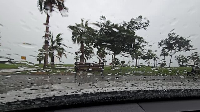 Stormy Tropical Palm Trees in Heavy Rain Seen Through Wet Window
