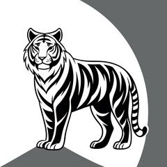 Fototapeta premium Animal-black-and-white-tiger. 