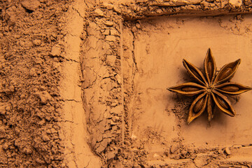 star anise and cinnamon sticks