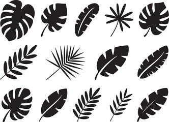 Set of tropical jungle leaves with different shapes summer vacation botanic elements foliage