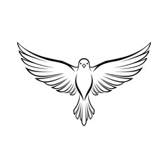 Naklejka premium A black and white illustration of a bird in flight isolated on