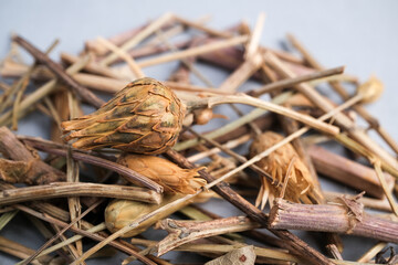 Botanical Macro Image of Dried St. John's Wort Flower Heads (Hypericum perforatum) Used as a Natural Mood Enhancer Supplem