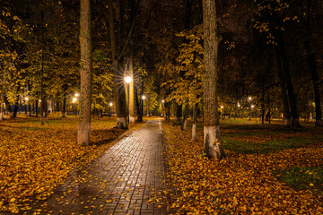 Paved pathway illuminated by streetlights in autumn park at dusk, surrounded by trees with colorful fallen leaves. Serene evening outdoor scene for calm mood.