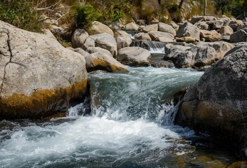 Sunlit Rapids: A Mountain Stream's Dance Over Stone

