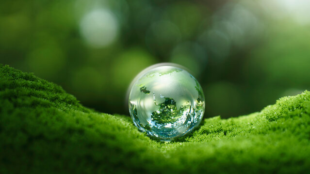 Crystal globe glass on green in forest for sustainability environmental, clean energy, and eco-friendly. Green business. carbon reduction to net zero. Earth Day, and ESG concept.