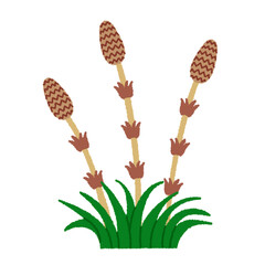 つくしのイラスト