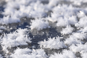 北海道むかわ町、鵡川に現れたフロストフラワー【12月】