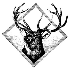 Fototapeta premium Vintage deer head emblem illustration in engraving style