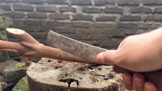 A detailed recording of the process of cutting wood with a machete, showing only the actively moving hands. The texture of the wood, and the rhythm of the swing.