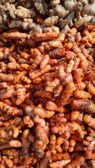 Close up View of Turmeric roots and Ginger