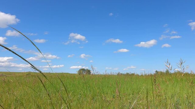Natural rural landscape footage of open meadow fields under a bright blue sky with fluffy moving clouds on a windy day. Green grass, farmland, and agricultural fields stretch toward the horizon, 
