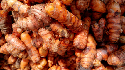 Close up view of Turmeric Roots