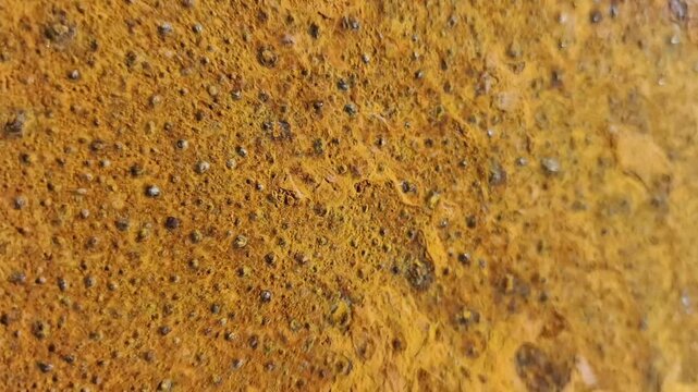 An abstract close-up shot of a textured golden surface, with intricate details and a unique pattern. The texture has bumps