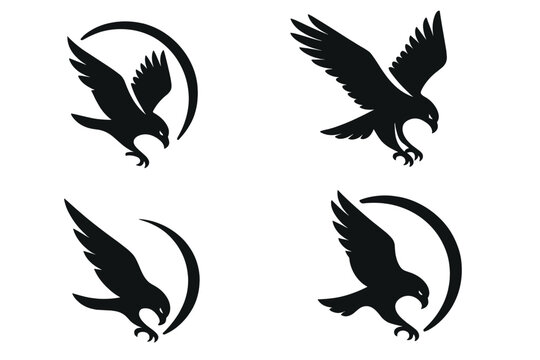 Predator's Swift Dive. Icons for: a predator&rsquo;s arc guiding a swift dive, keen wings steering a falling strike, a stooping form