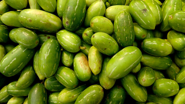 Close up view of Ivy Gourd, 