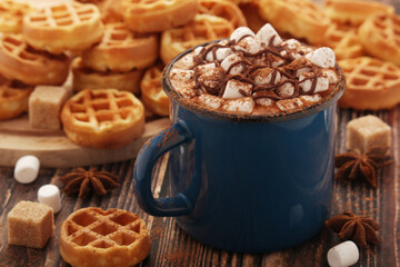 A mug with hot chocolate with marshmallow