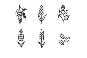 Obraz premium vector set of black and white flowers