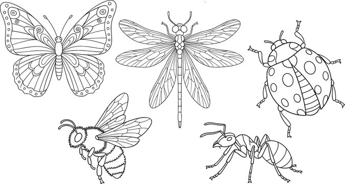 Collection of five black and white line art insects including a butterfly dragonfly ladybug bee and ant
