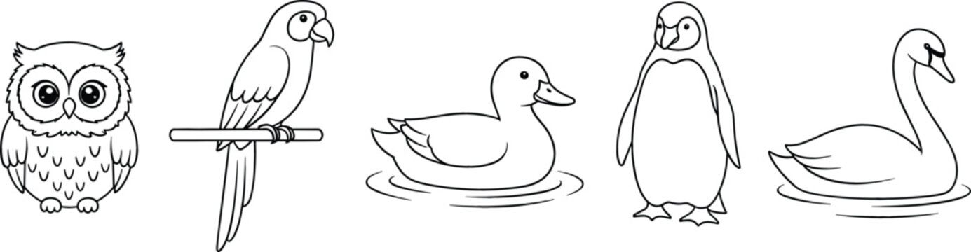 Cute cartoon outline drawings of five different birds