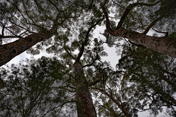 Margaret River in spring